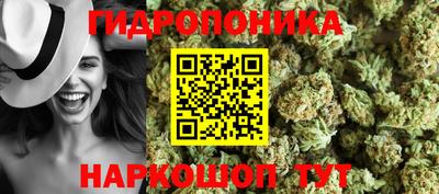 индика Нягань